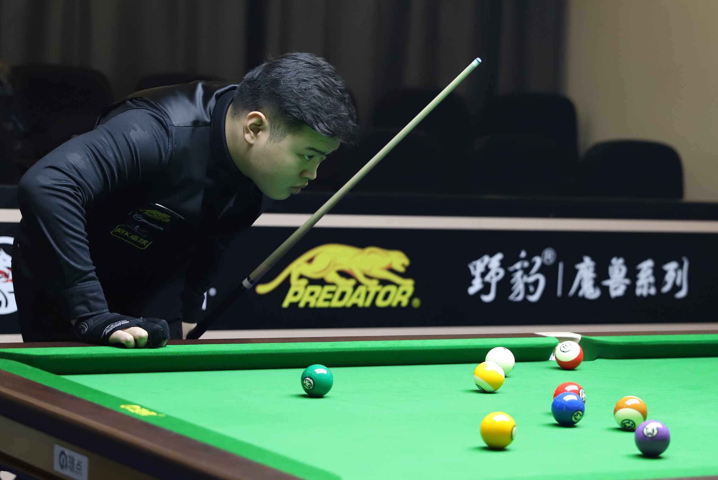 虽然岁月不 虽然岁月不