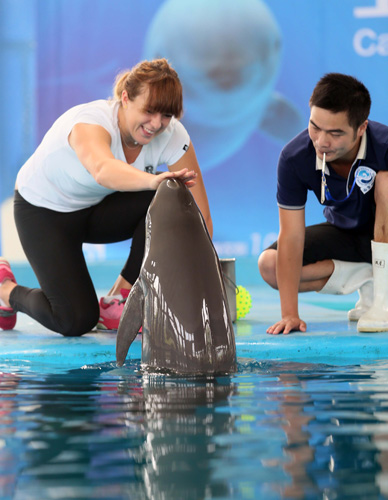 个人荣誉 个人荣誉