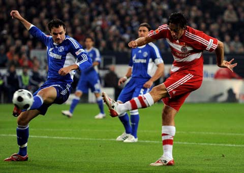 红牛车队 红牛车队